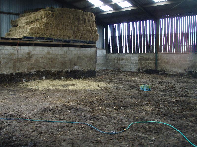 Mucked out shed.jpg